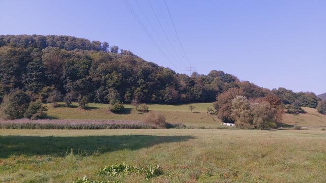 Das Kochertal🌞😍 | Foto: Ralf Röser