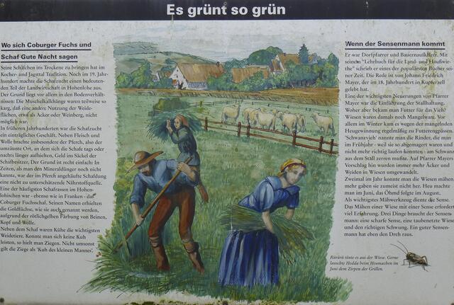 Tafel 8 | Foto: eigene Aufnahme