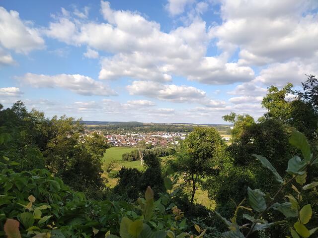Nun bin ich schon auf dem Weg unterhalb der Stadtmauer und genieße immer wieder die Ausblicke auf den Neckar und das Umland.  | Foto: sigischlottke