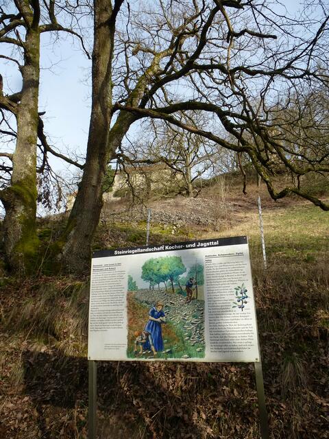 Tafel 7 am Steinriegel | Foto: eigene Aufnahme