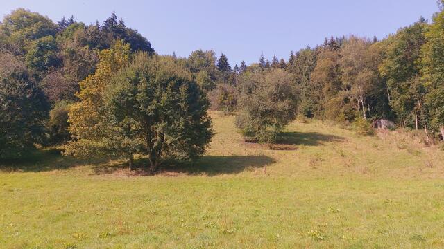 Das Kochertal🌞😍 | Foto: Ralf Röser