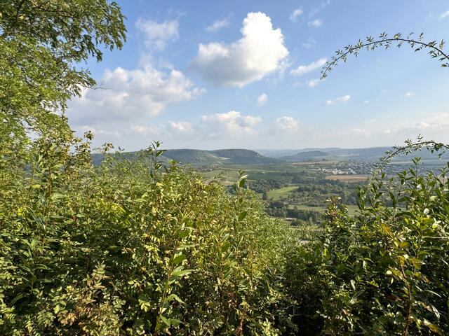 Foto: Heide Böllinger aus Bad Friedrichshall