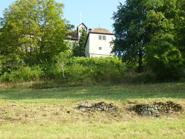 Am steilen Hang des Schlossbergs sind Steinriegel, Reste von alten Weinbergmauern und Teile von der Burg Stetten zu sehen | Foto: eigene Aufnahme
