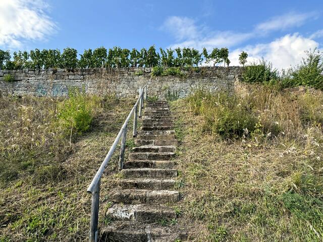 Foto: Heide Böllinger aus Bad Friedrichshall
