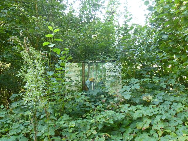 Tafel 6... Die Natur hat sie fast überwuchert | Foto: eigene Aufnahme