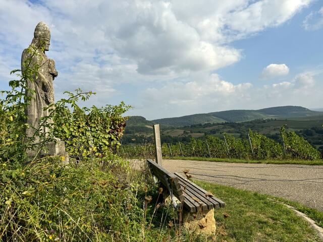 Foto: Heide Böllinger aus Bad Friedrichshall