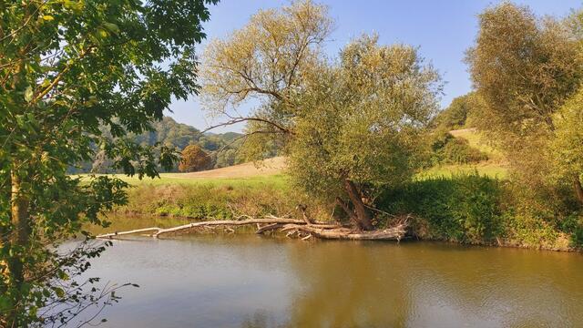 Kocher | Foto: Ralf Röser