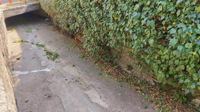 leer | Foto: Ralf Röser