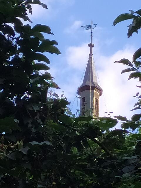 Immer wieder lugt etwas über die Stadtmauer hinaus, wenn man von unten hinauf schaut.  | Foto: sigischlottke