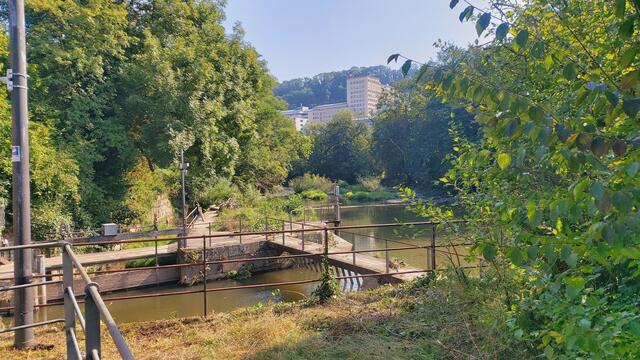 Diakoneo im Hintergrund | Foto: Ralf Röser