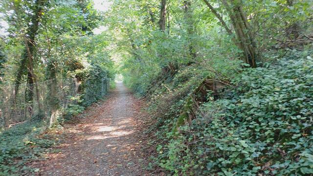 und wieder zurück | Foto: Ralf Röser