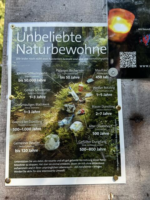 Foto: Heide Böllinger aus Bad Friedrichshall