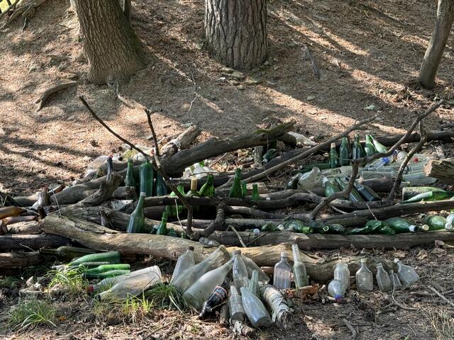 Foto: Heide Böllinger aus Bad Friedrichshall