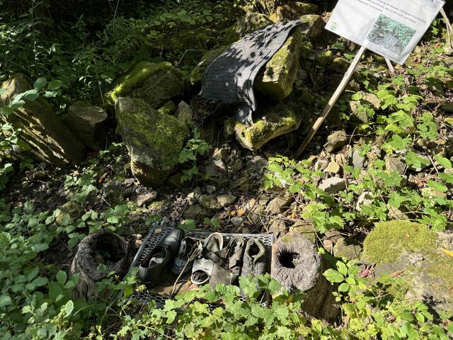 Foto: Heide Böllinger aus Bad Friedrichshall