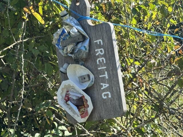 Foto: Heide Böllinger aus Bad Friedrichshall