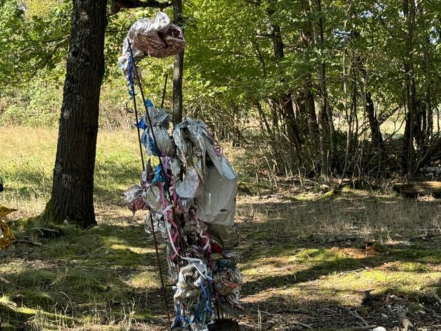 Foto: Heide Böllinger aus Bad Friedrichshall
