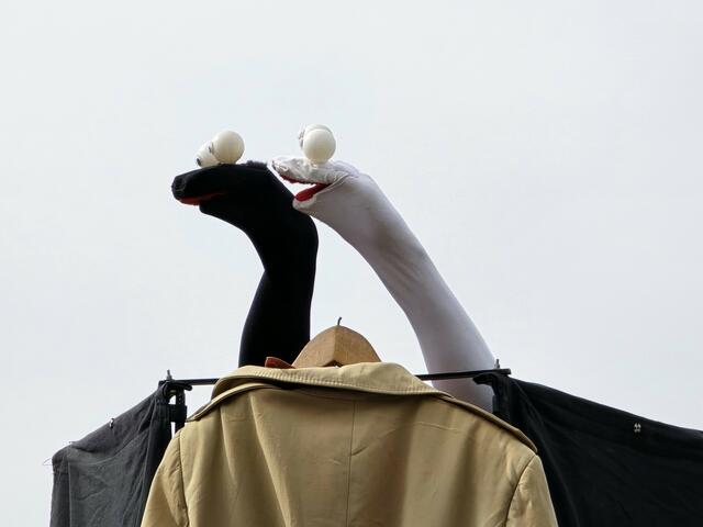 Foto: Heidrun Rosenberger