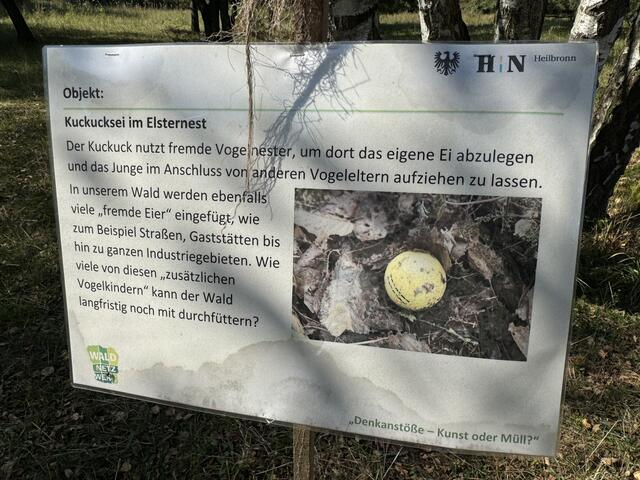 Foto: Heide Böllinger aus Bad Friedrichshall