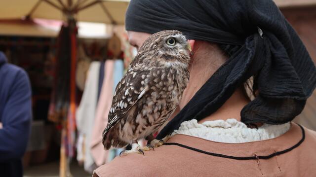 Foto: Eduard Warenik