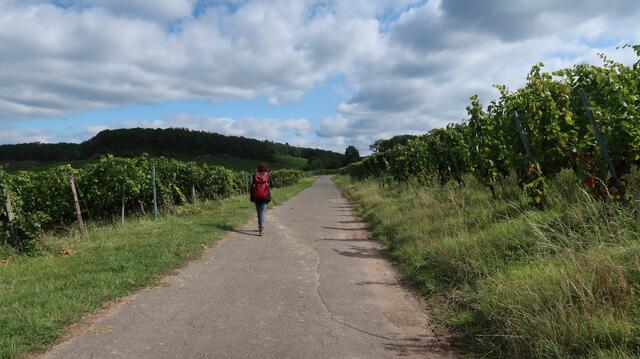 Foto: Eduard Warenik