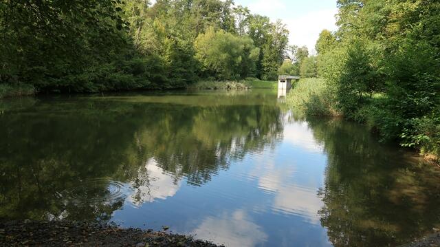 Foto: Eduard Warenik