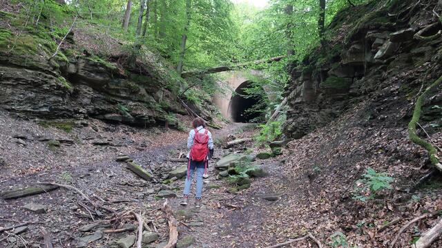 Foto: Eduard Warenik