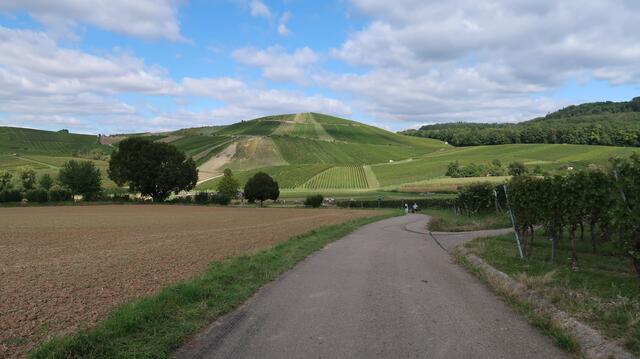 Foto: Eduard Warenik