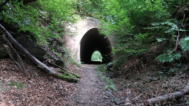 Foto: Eduard Warenik