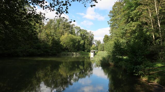 Foto: Eduard Warenik