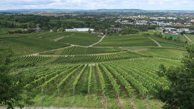 Foto: Eduard Warenik