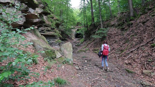 Foto: Eduard Warenik