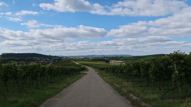 Foto: Eduard Warenik