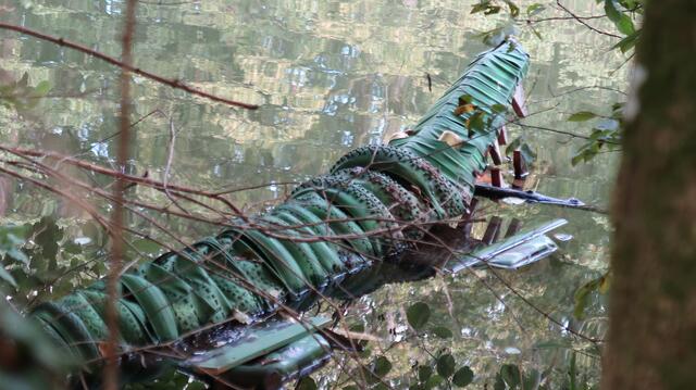 Foto: Eduard Warenik