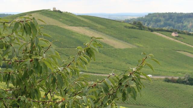 Foto: Eduard Warenik