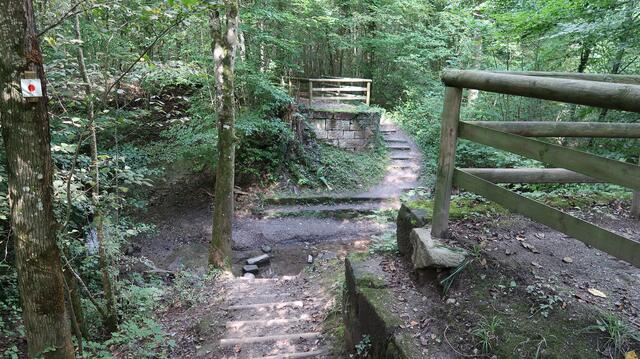 Foto: Eduard Warenik