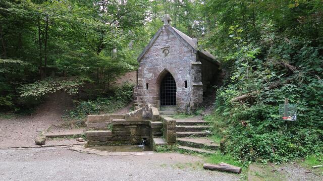 Foto: Eduard Warenik