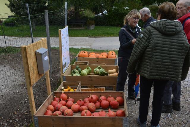Im Hofladen werden Kürbisse verkauft.
 | Foto: Michael Harmsen