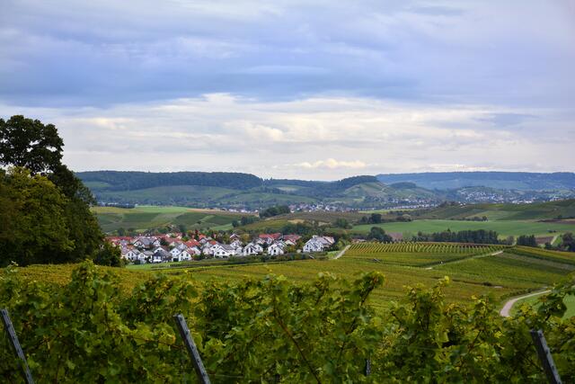 Ein schöner Blick, in ein paar Wochen ist es hier noch viel bunter. | Foto: Michael Harmsen