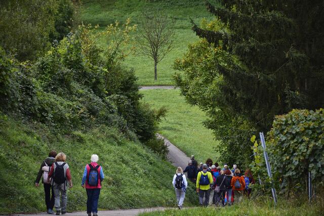 Der Abstieg ist ziemlich steil. 
 | Foto: Michael Harmsen
