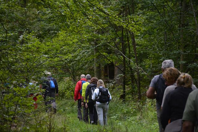 Im Gänsemarsch um den Reisberg. | Foto: Michael Harmsen