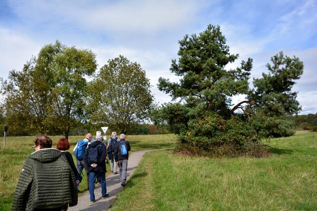Die Waldheide ist erreicht. | Foto: Michael Harmsen