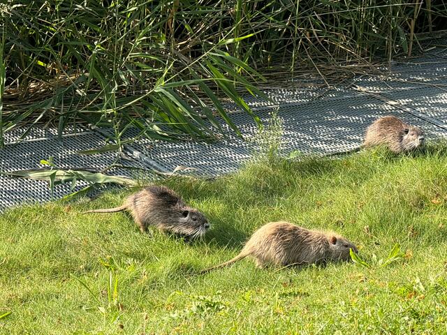 Foto: Heide Böllinger aus Bad Friedrichshall