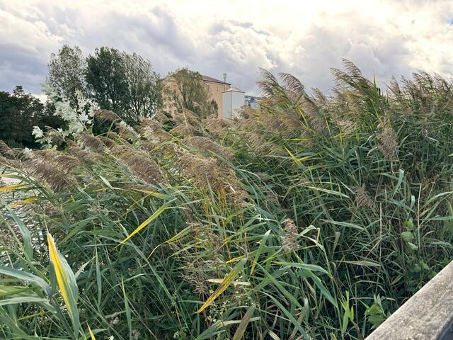 Foto: Heide Böllinger aus Bad Friedrichshall