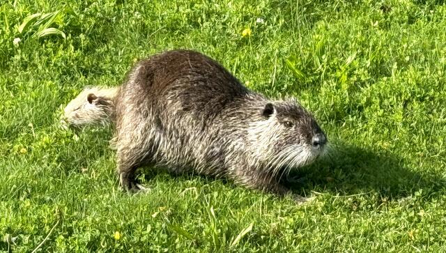 Foto: Heide Böllinger aus Bad Friedrichshall