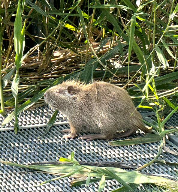 Foto: Heide Böllinger aus Bad Friedrichshall