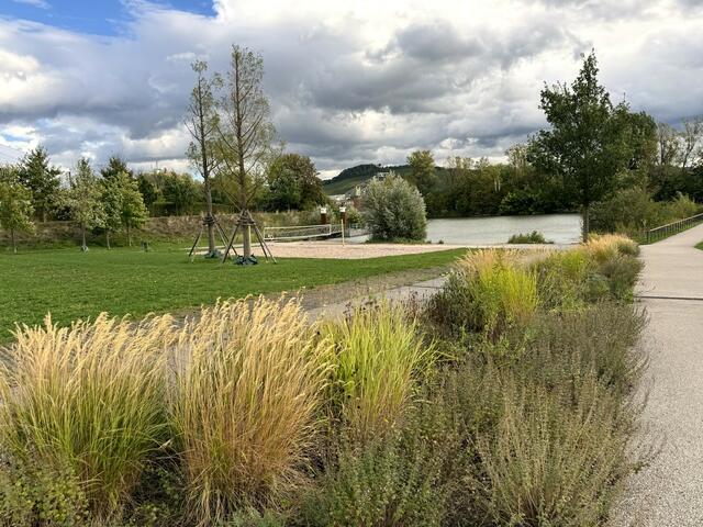 Foto: Heide Böllinger aus Bad Friedrichshall