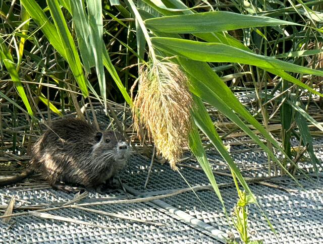 Foto: Heide Böllinger aus Bad Friedrichshall