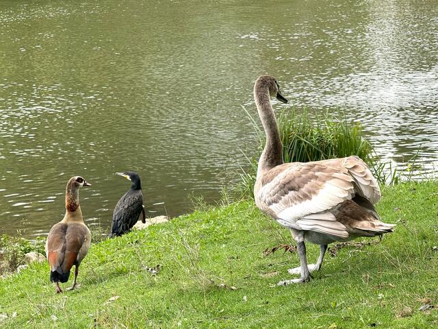 Foto: Heide Böllinger aus Bad Friedrichshall