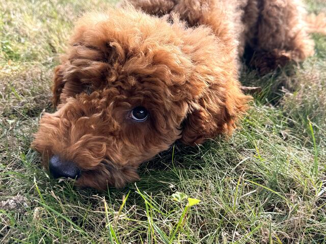 Foto: Heide Böllinger aus Bad Friedrichshall