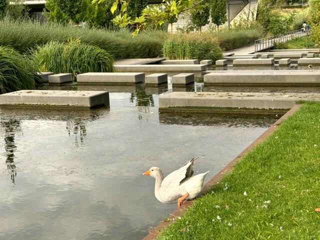 Foto: Heide Böllinger aus Bad Friedrichshall